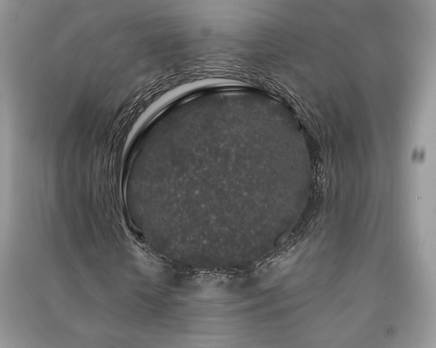 X0000091210818200708091345