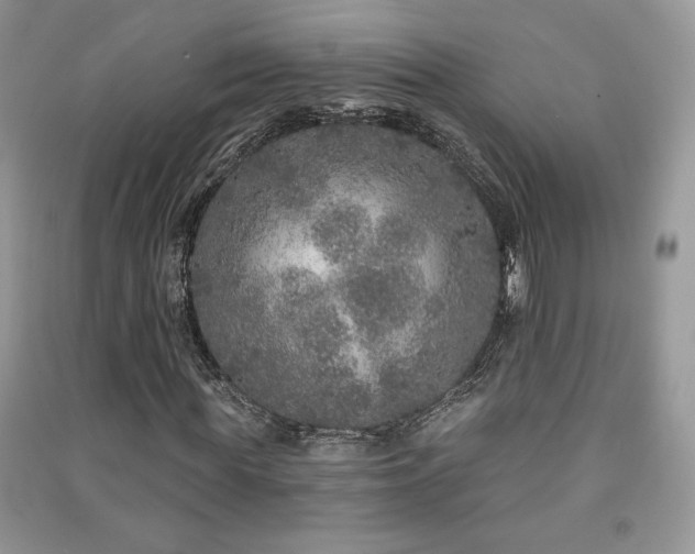 X0000091210819200708091345