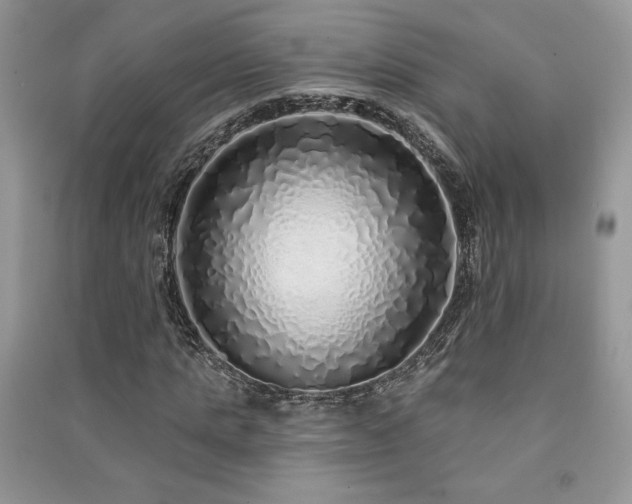 X0000091210821200708091345