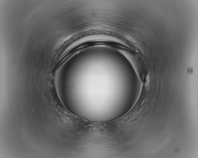 X0000091210822200708091345
