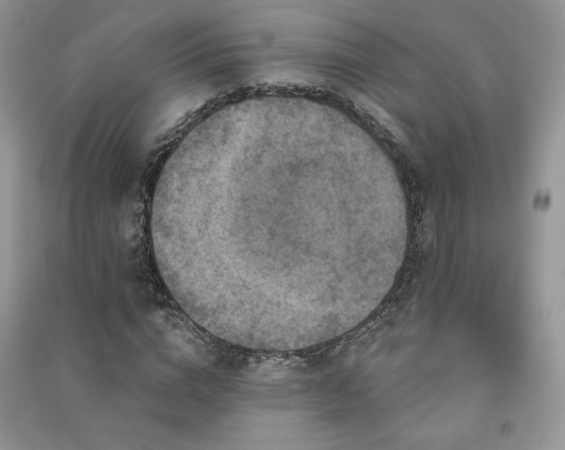 X0000091210824200708091345