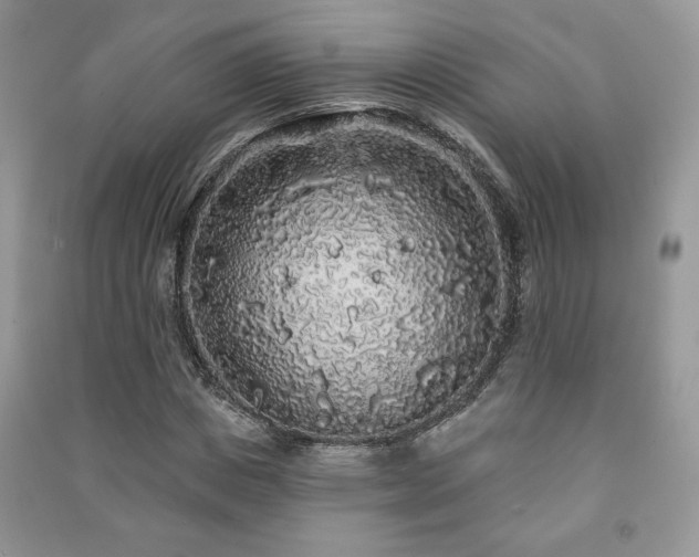 X0000091210825200708091345