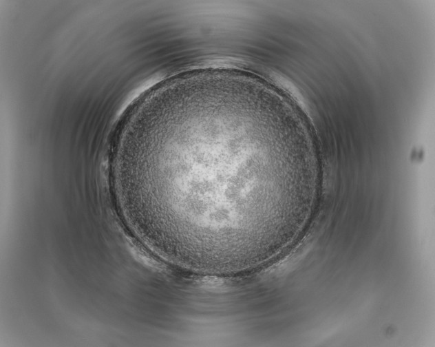 X0000091210827200708091345