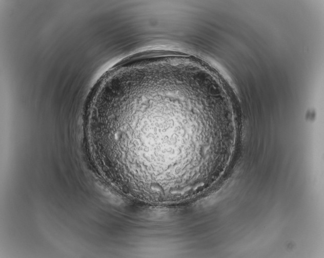 X0000091210829200708091345