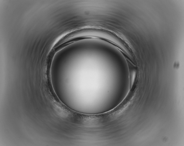 X0000091210830200708091345
