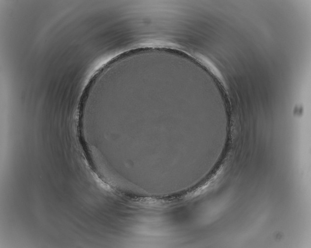X0000091210831200708091345