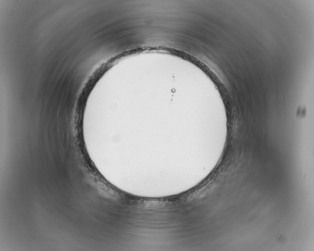 X0000091210832200708091345