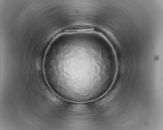 X0000091210833200708091345