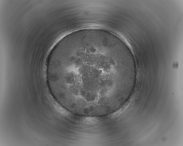 X0000091210835200708091345