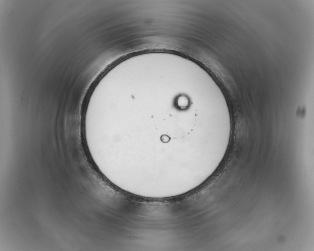 X0000091210836200708091345