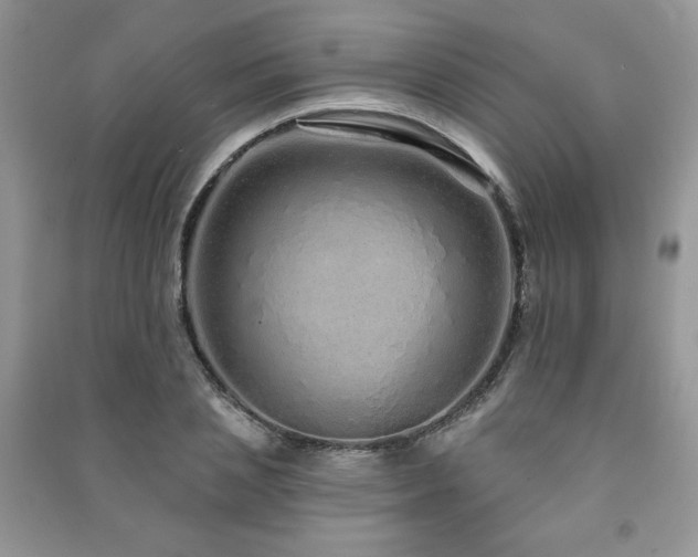 X0000091210837200708091345