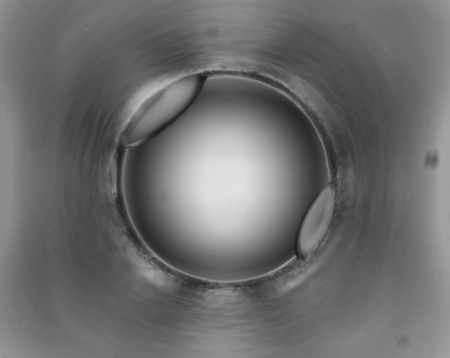 X0000091210838200708091346