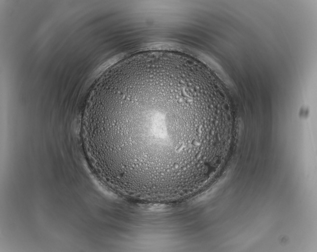 X0000091210841200708091346