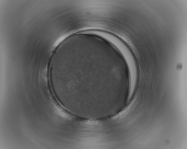 X0000091210842200708091346