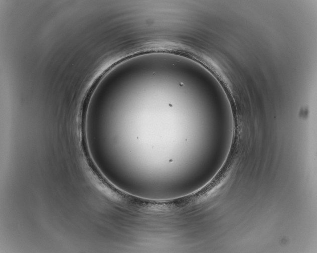 X0000091210843200708091346