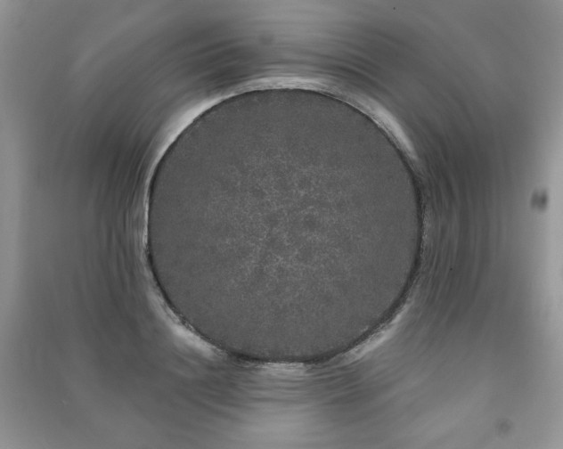 X0000091210844200708091346