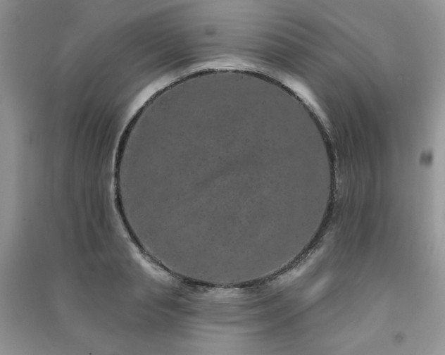X0000091210845200708091346