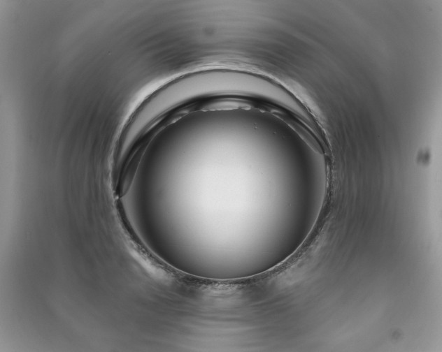 X0000091210846200708091346