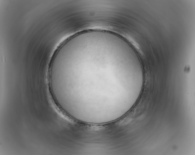 X0000091210848200708091346
