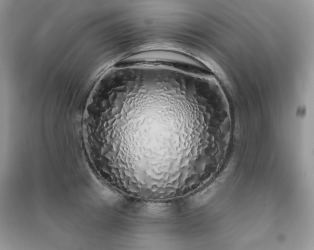 X0000091210849200708091346