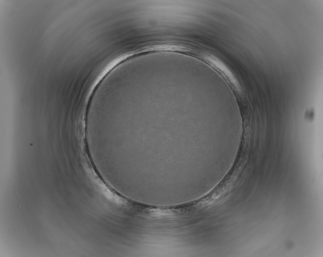 X0000091210852200708091346