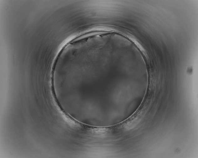 X0000091210853200708091346