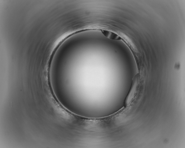 X0000091210854200708091346