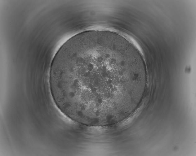 X0000091210855200708091346