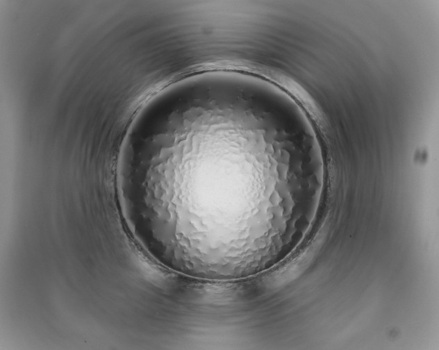 X0000091210857200708091346