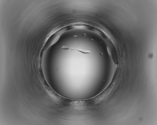 X0000091210858200708091346