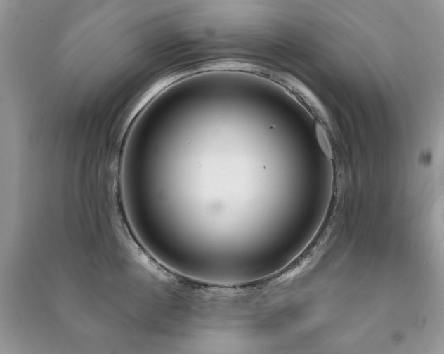 X0000091210860200708091346