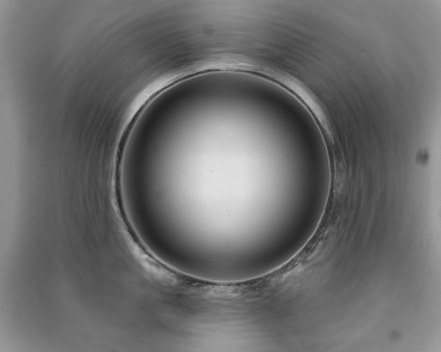 X0000091210861200708091346