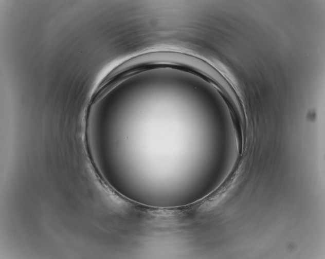X0000091210862200708091346