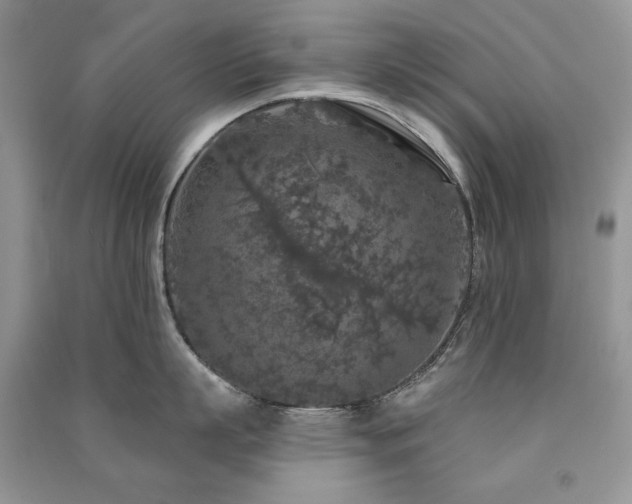 X0000091210863200708091346