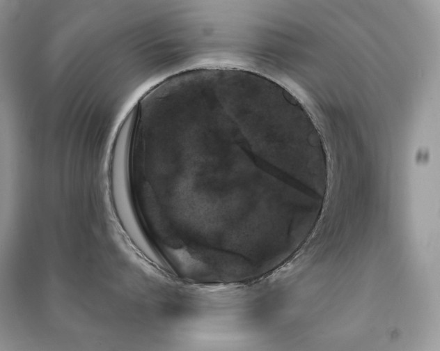 X0000091210864200708091346