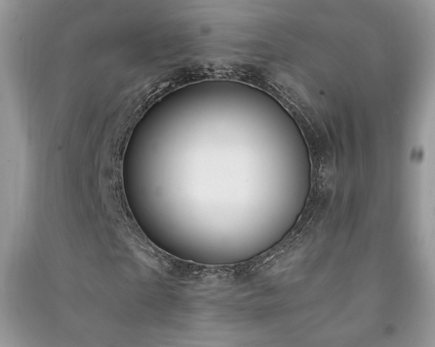 X0000091210865200708091345