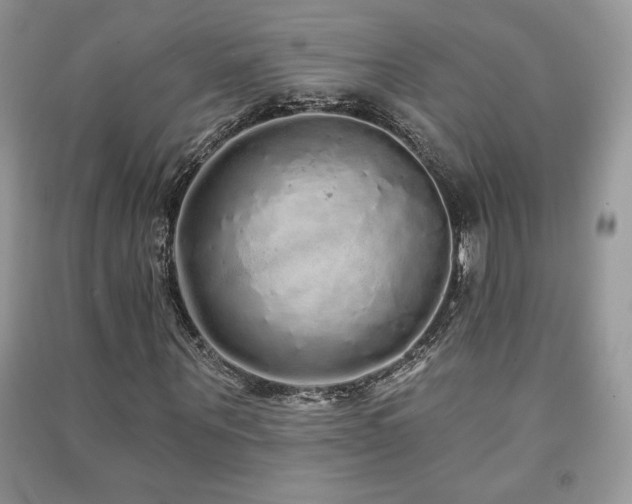 X0000091210867200708091345