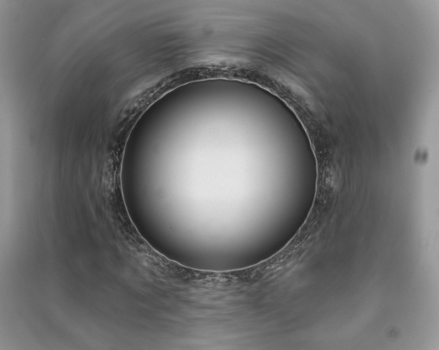 X0000091210869200708091345