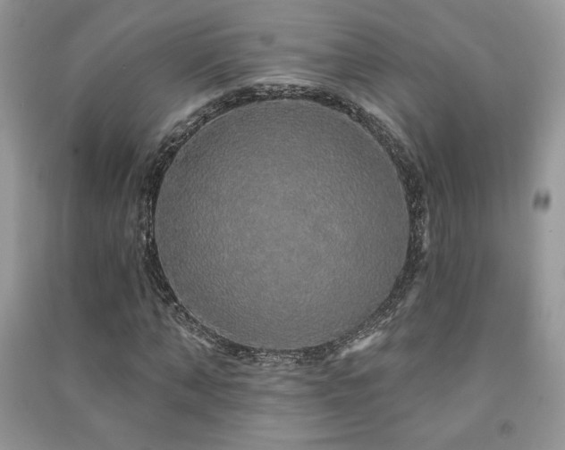 X0000091210870200708091345