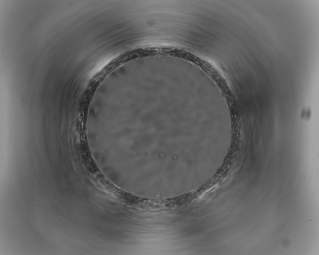 X0000091210871200708091345