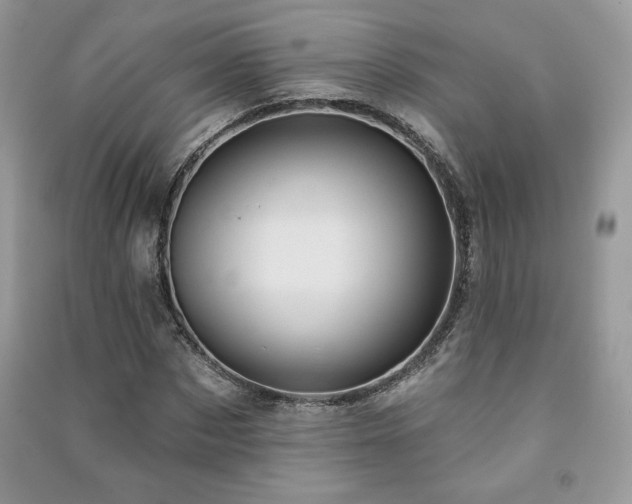 X0000091210873200708091345
