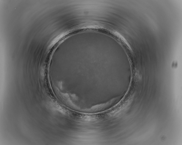X0000091210874200708091345