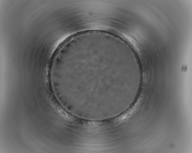 X0000091210875200708091345