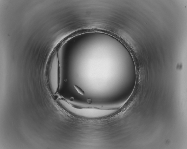 X0000091210876200708091345