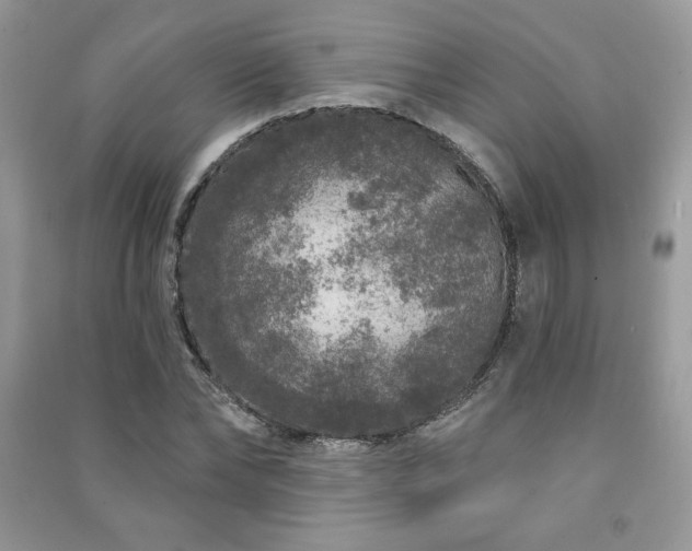 X0000091210878200708091345
