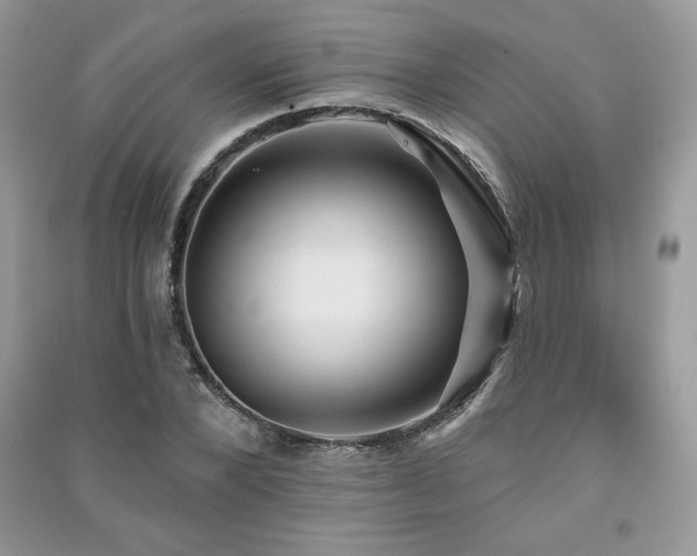 X0000091210880200708091345