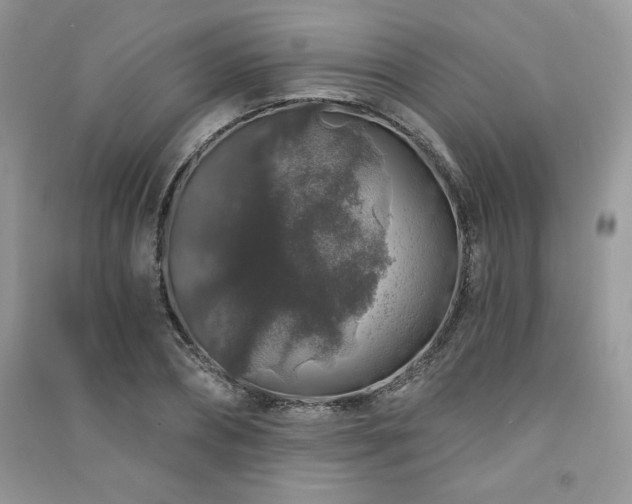 X0000091210882200708091345