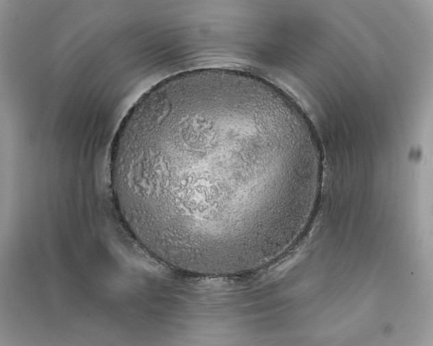 X0000091210883200708091345