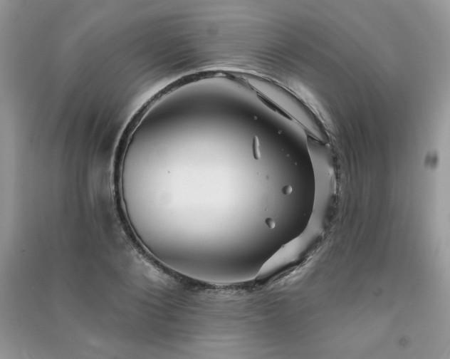 X0000091210884200708091345