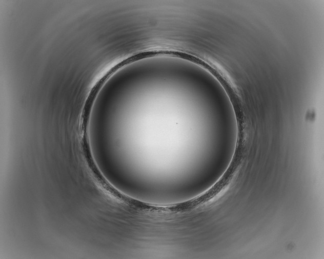 X0000091210885200708091345